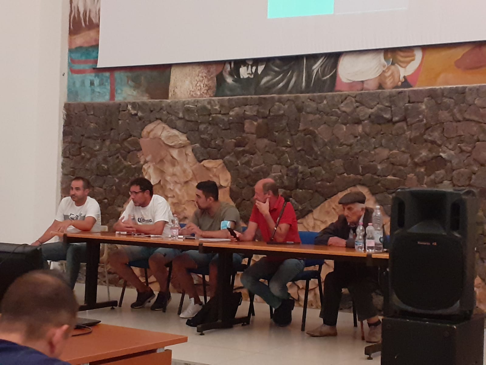 Assemblea Thiesi calcio