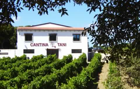 cantina tani 1