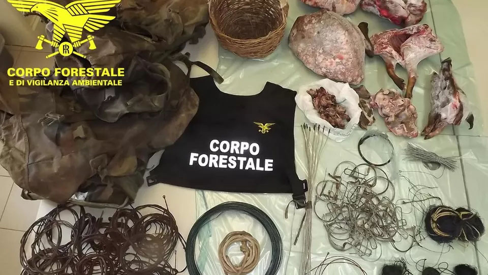 Capoterra, catturavano cinghiali con i lacci: denunciati due operai 1 Capoterra