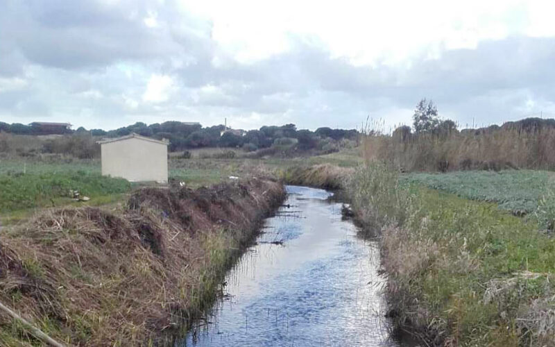 Consorzio di Bonifica Nord Sardegna