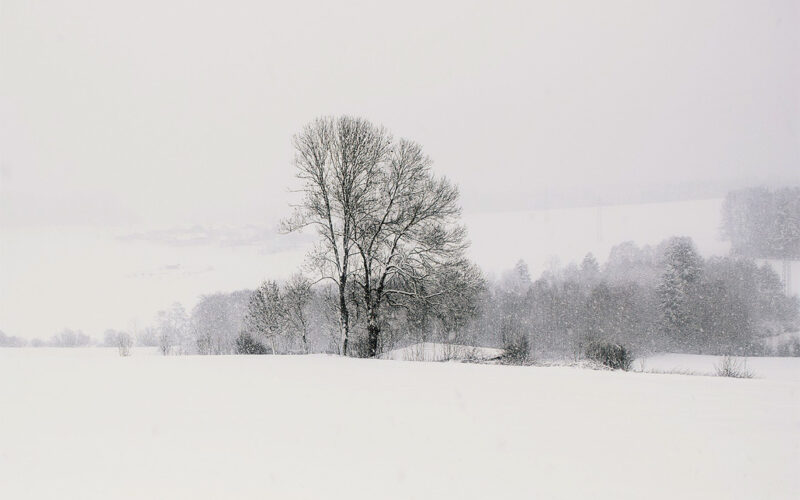 Nevicata