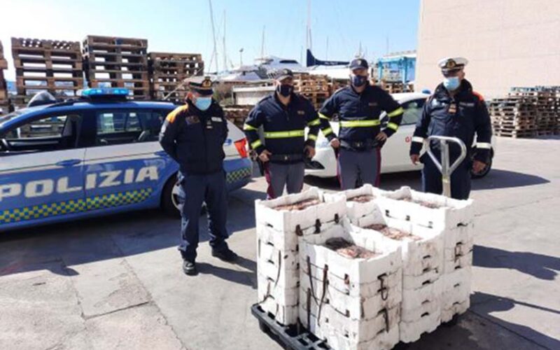 Pescato sequestrato a Olbia