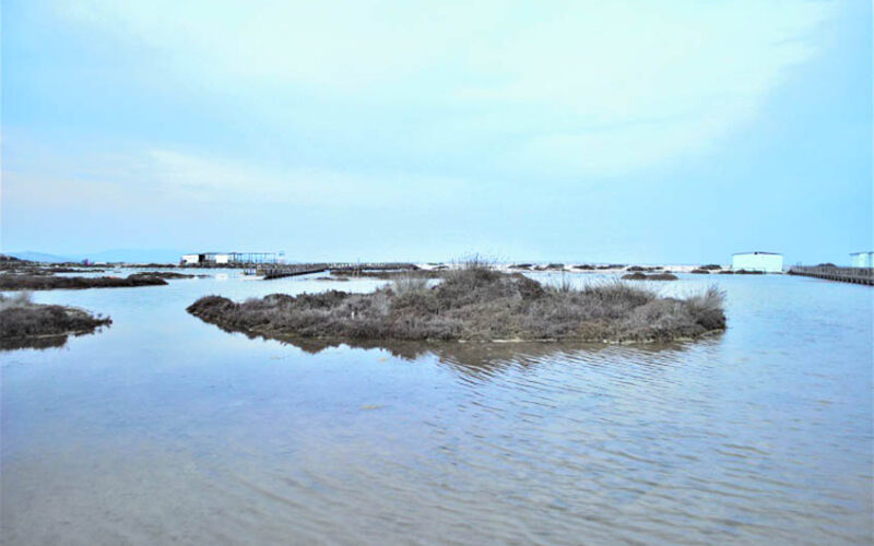 Stintino, le Saline