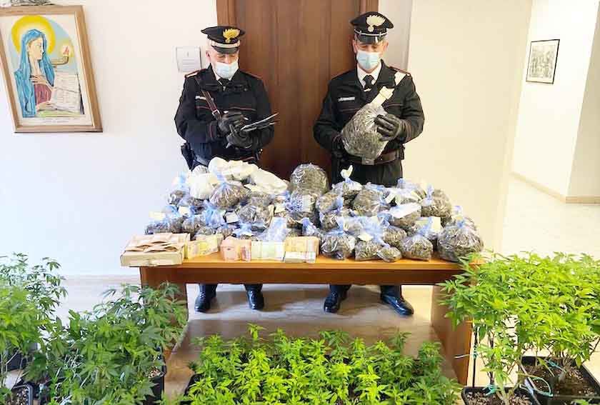 Coppia di 40 e 35 anni arresta a Olbia per coltivazione e spaccio di marijuana