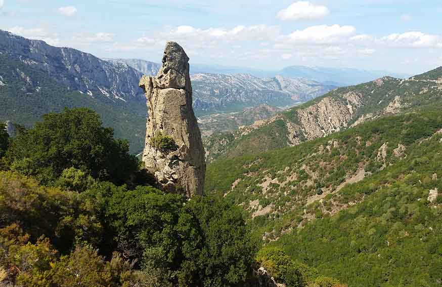 Foresta Sardegna