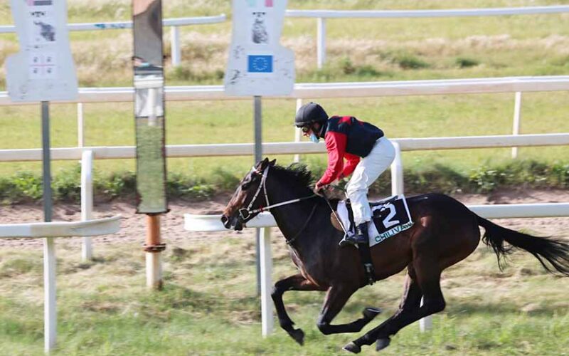 Ippodromo di Chilivani Capriolo de Bonorva