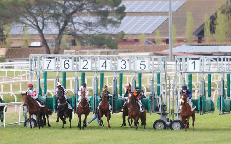 Ippodromo di Chilivani seconda giornata di corse