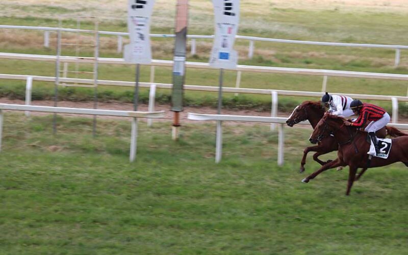 Seconda giornata di corse Ippodromo di Chilivani