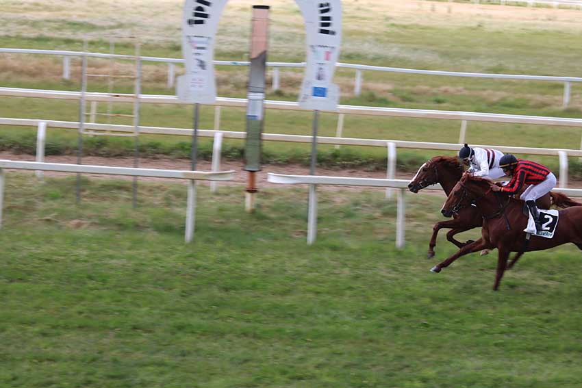 Seconda giornata di corse Ippodromo di Chilivani