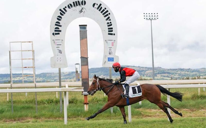 Ippodromo di Chilivani: debutto vincente di Calamoresca