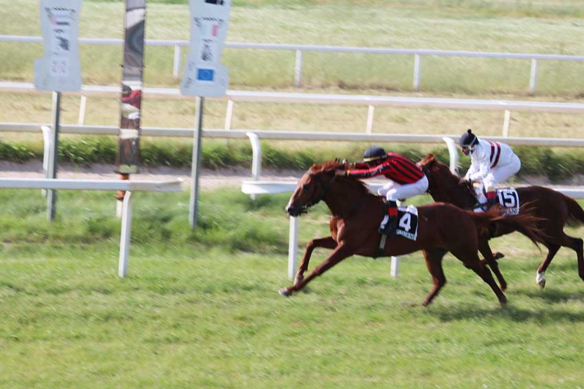 Ippodromo di Chilivani, risultati della sesta giornata primaverile