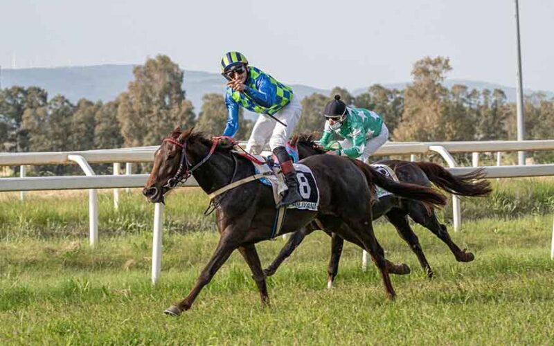 Ippodromo di Chilivani, la vittoria di Bellagioia alla terza giornata