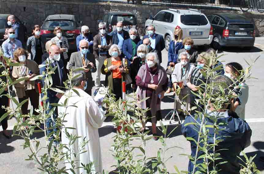 Sassari, un albero d'ulivo per l'impegno del personale sanitario contro il Covid 1 Ulivo benedizione