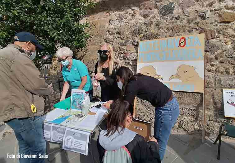 comitato punta giglio alghero 5