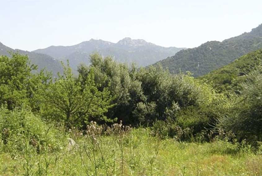 Campagne di Ollolai distretto rurale della barbagia