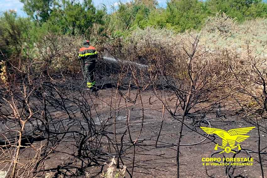 Incendi Sardegna 21 giugno: elicotteri in azione a Dolianova e Lanusei 1 Forestale spegne incendio