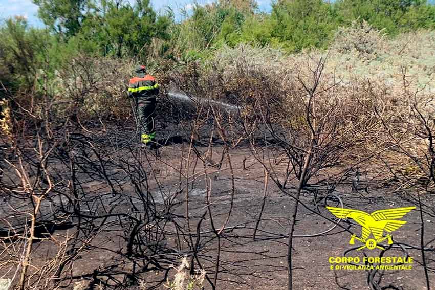 Forestale spegne incendio