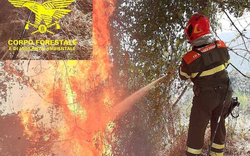 Incendio agro di Ozieri