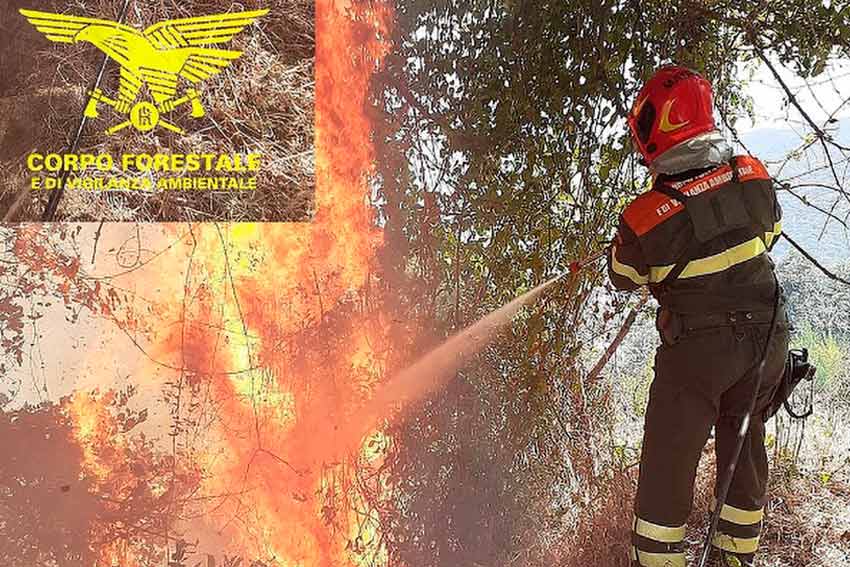 Incendio agro di Ozieri