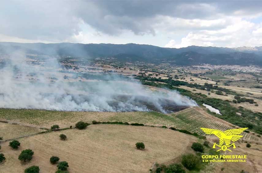 Incendi Sardegna 11 giugno: spenti 10 roghi, a Oschiri bruciati 3 ettari di pascolo 1 Incendio oschiri
