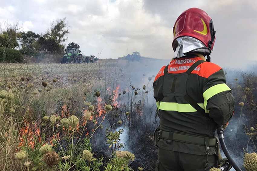 Sinnai, arrestato un 33enne per 9 incendi dolosi 1 Incendio
