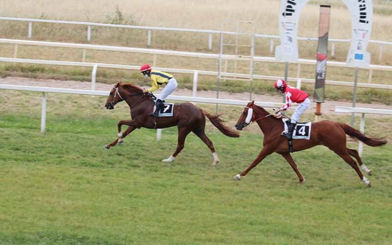 Ippodromo di Chilivani Bolero de Florinas Baruffa