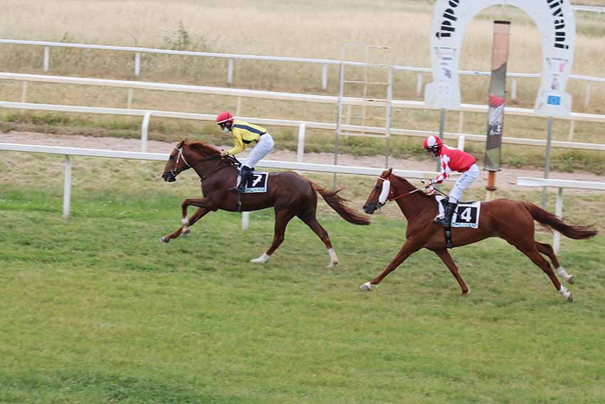 Ippodromo di Chilivani Bolero de Florinas Baruffa