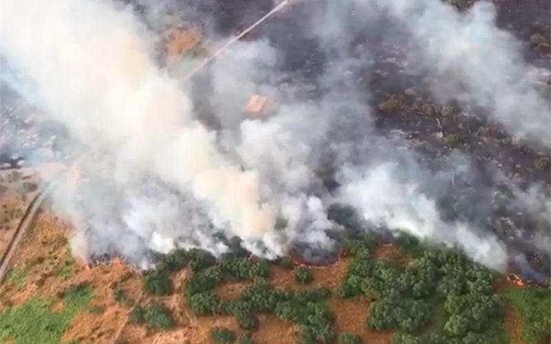 Incendio Oristanese Cuglieri