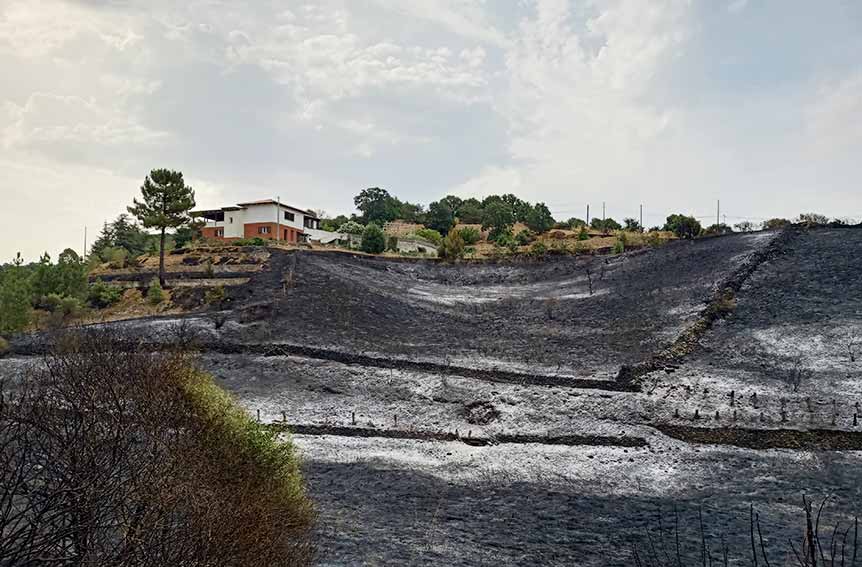 Incendio Salighes Ozieri