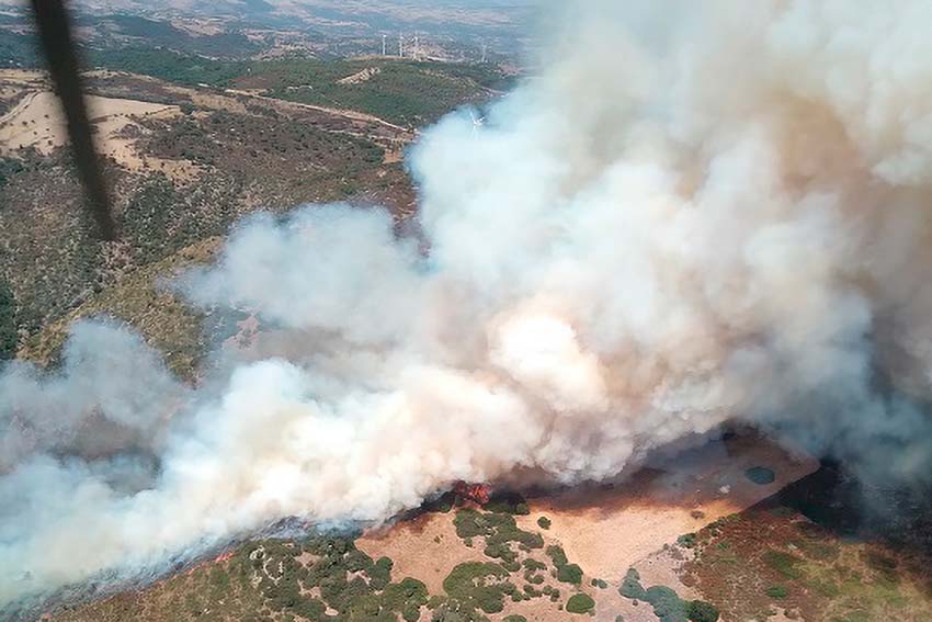 Incendi Sardegna 23 luglio: 200 ettari in fumo nel parco eolico di San Basilio 1 Incendio a San Basilio