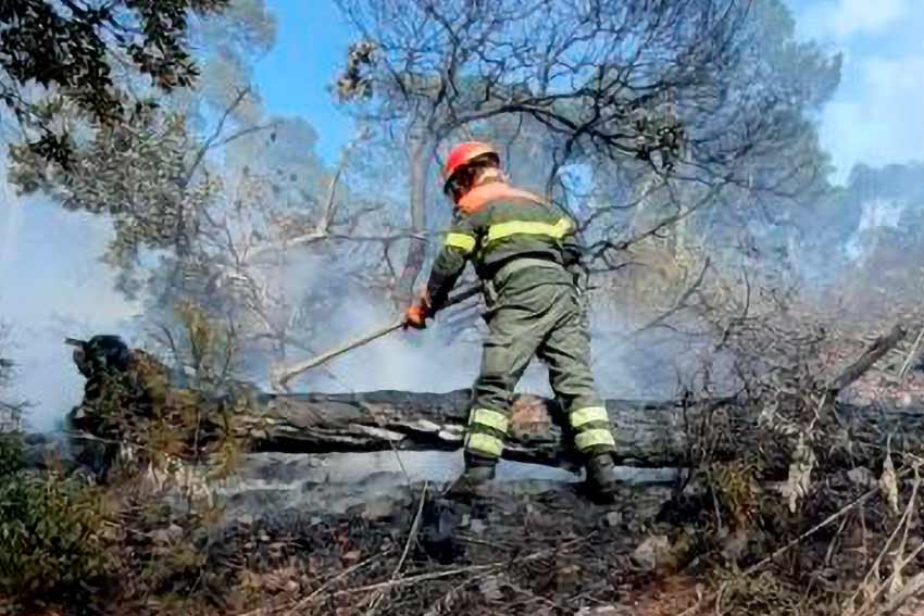 Incendio forestale in azione