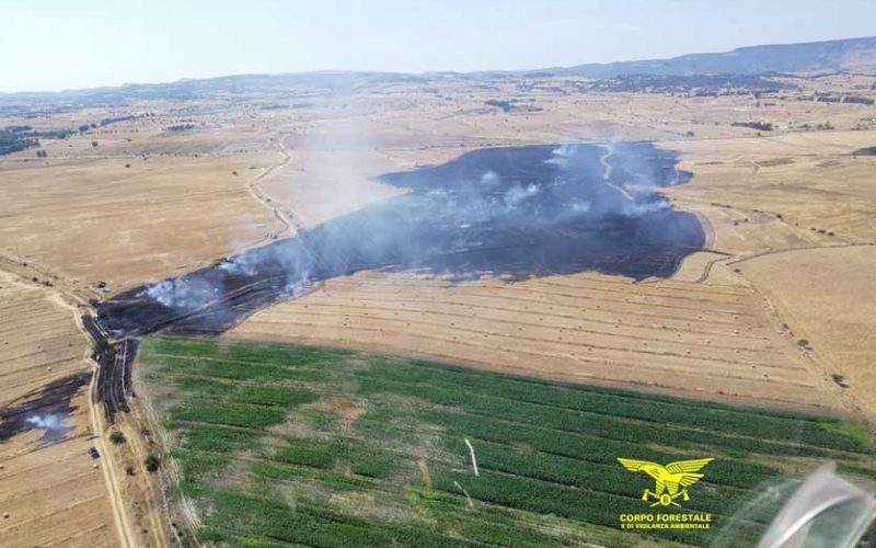 Incendio piana di Chilivani Ozieri