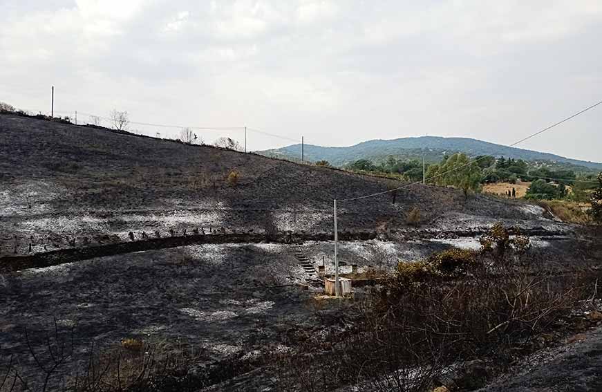 Incendio salighes Ozieri 2