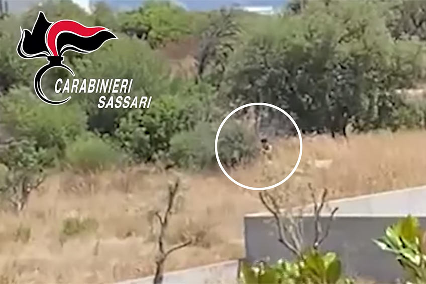 Arrestata dai Carabinieri la presunta piromane di Olbia 1 Piromane di Olbia