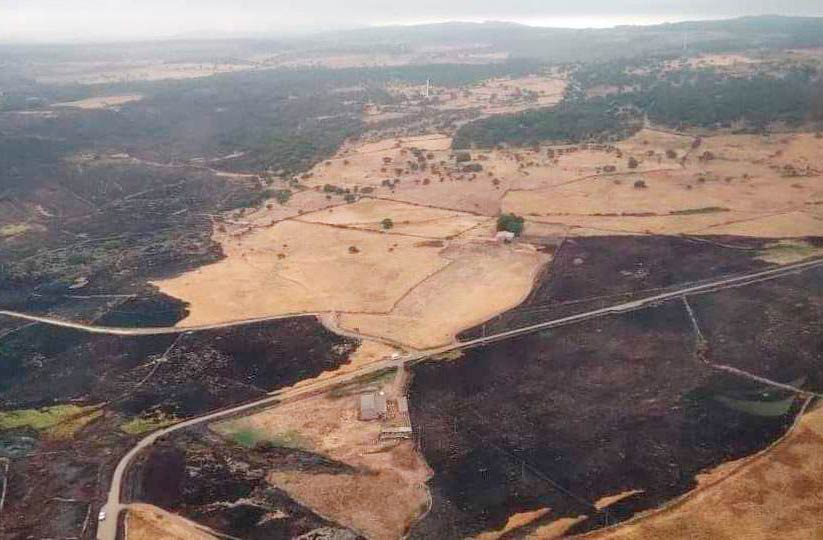 Incendi, Coldiretti Nuoro Ogliastra: al via la macchina della solidarietà 1 incendio sindia 1