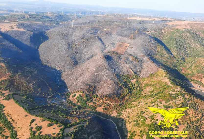 Incendi Sardegna 23 luglio: 200 ettari in fumo nel parco eolico di San Basilio 2 san basilio incendio