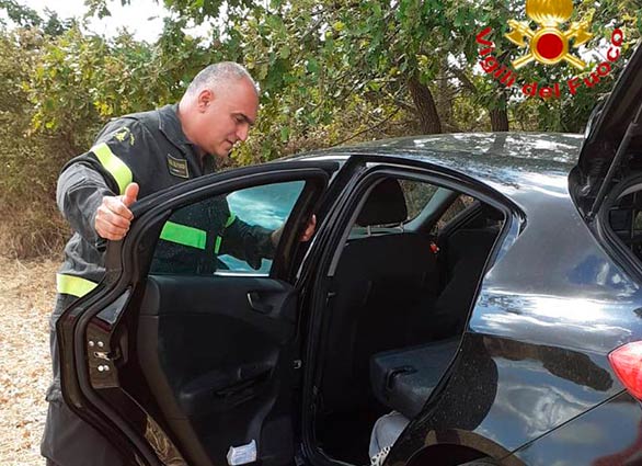 Birori liberati 2 cani auto