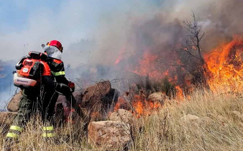 Incendi Sardegna