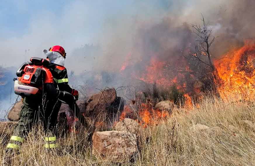 Incendi Sardegna