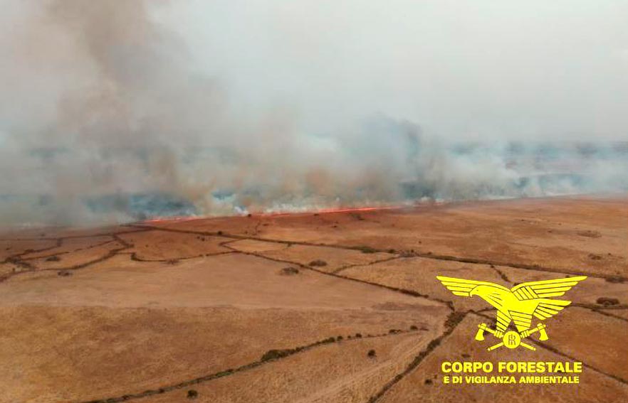 Incendio Borore