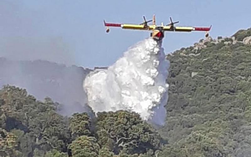 Canadair in azione rogo Calangianus