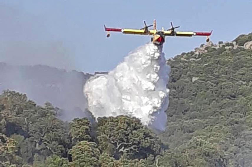 Canadair in azione rogo Calangianus