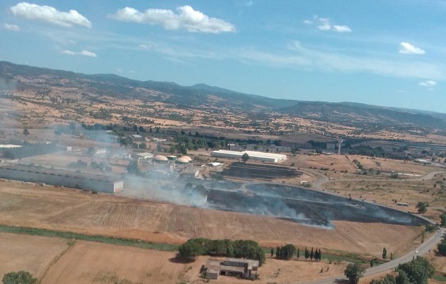 Incendi Sardegna 5 agosto: a Ozieri bruciata una superficie di 2 ettari 1 Incendio Chilivani