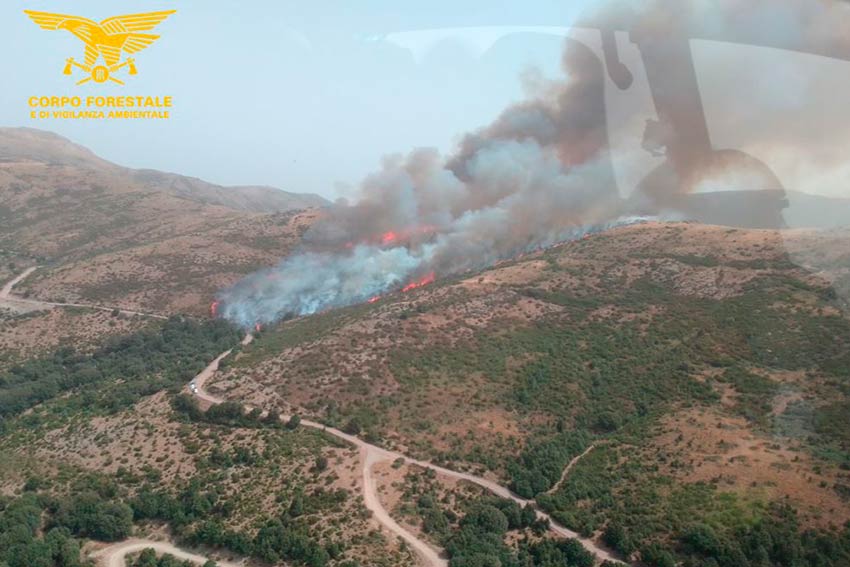 Incendi Sardegna 11 agosto: divampati 44 roghi, 6 hanno richiesto l'intervento dei mezzi aerei 1 Incendio Villagrande Strisaili