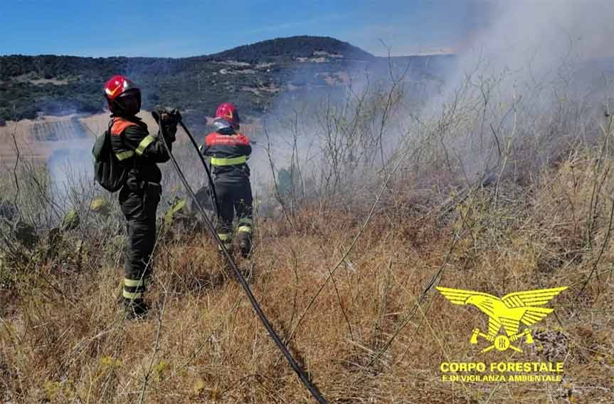 Incendio forestale