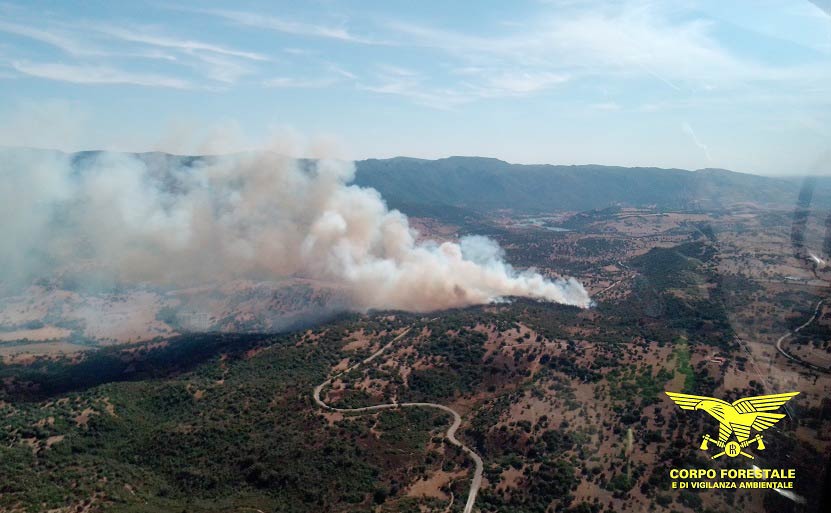 Incendi Sardegna 5 agosto: a Ozieri bruciata una superficie di 2 ettari 3 Incendio olzai