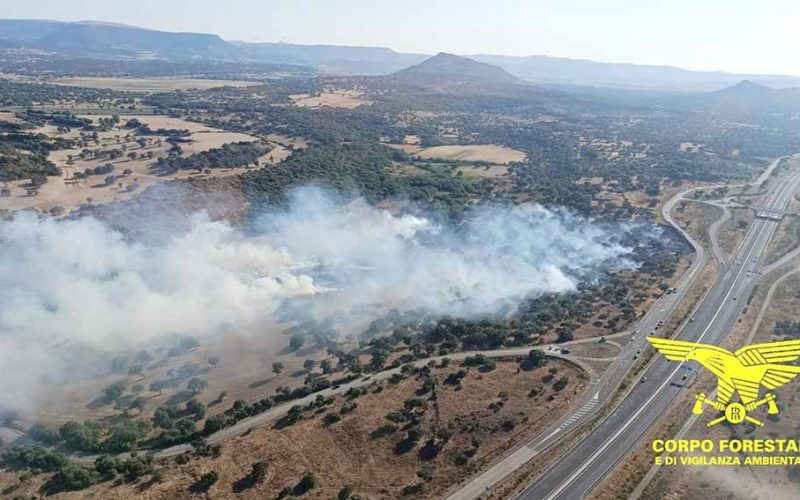 Incendio ploaghe