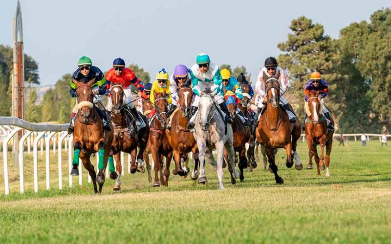 Ippodromo di Chilivani, cavalli in partenza