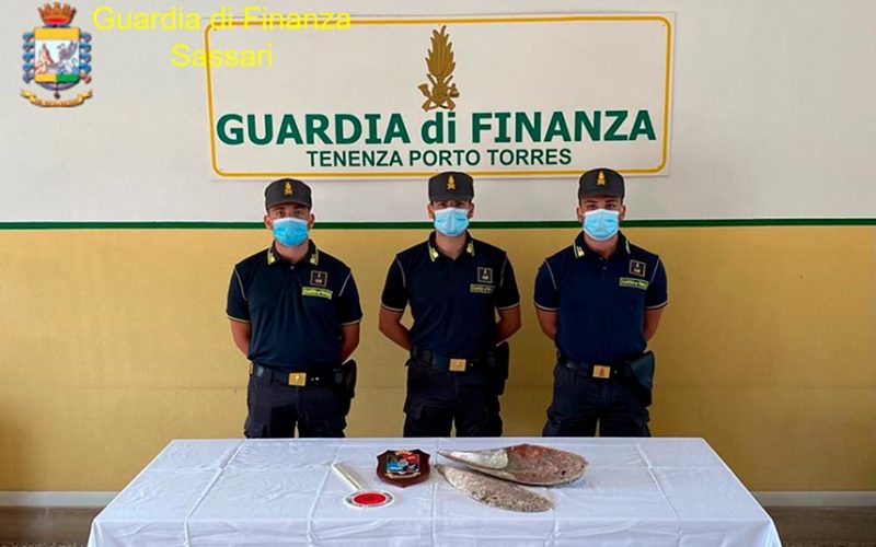 Pinna Nobilis Porto Torres 2