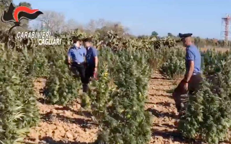 Carabinieri a Villasor coltivazione marijuana